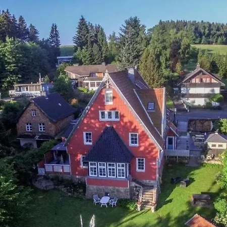 Waldhexe In Der Brockenhexe *