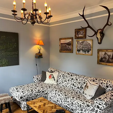 Waldhexe In Der Brockenhexe Appartement Braunlage
