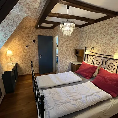 Waldhexe In Der Brockenhexe *